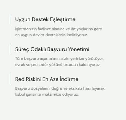Mobil Görünüm